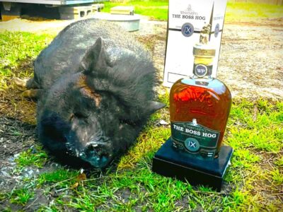 Remembering Big Star Tavern’s ‘Honey Bun’; She rooted her way into the Hearts of All Who Met her