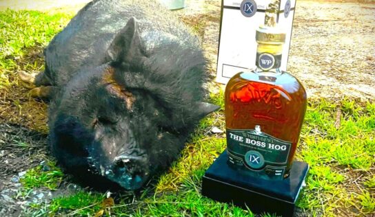 Remembering Big Star Tavern’s ‘Honey Bun’; She rooted her way into the Hearts of All Who Met her