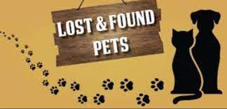 <strong>HSEC NEWS: Big Thanks to Heady Scoops and Smoothies, and Information on Finding Lost Pets</strong>