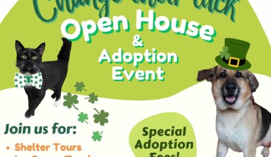 Change Their Luck: PAHS Hosting Open House, Events March 18 in Prattville