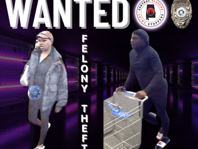 Millbrook – Theft of Property 2nd Degree – Cash Reward Offered