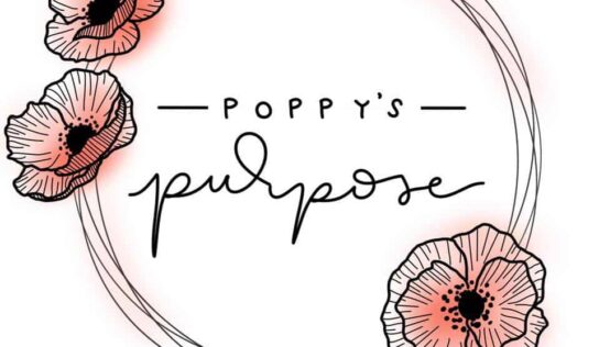 Newly Passed Senate Bill 113 Press Conference coming Thursday