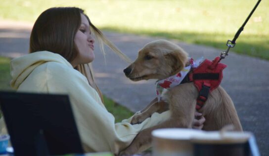 Photos: PAHS Celebrates 16th Annual Bark in the Park at Cooters Pond