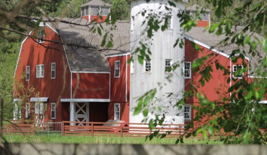 Oak Mountain State Park re-purposing demonstration Farm into Dog Park and event space