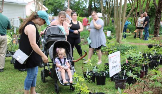 Autauga County Master Gardeners Share talent, knowledge at Plant Sale