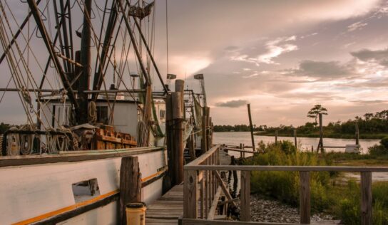 Alabama State Waters Open for Shrimping on June 1