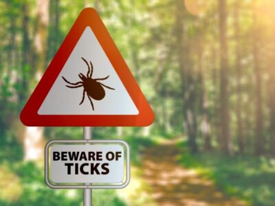 Take Care to Avoid Ticks as Warm Weather Arrives