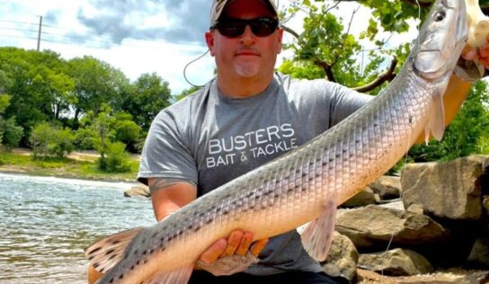 ALBBAA Launches 2023 Best Fish Photo Contest