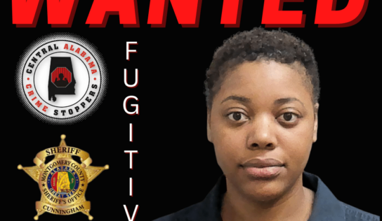 Wanted – Theft of Property 3rd Degree – Cash Reward Offered