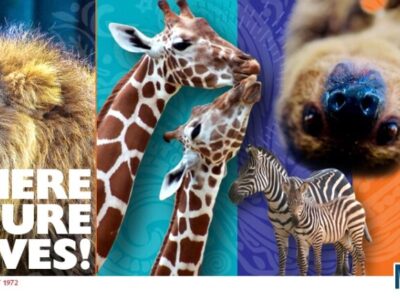 Montgomery Zoo’s Thrifty Tuesdays Return