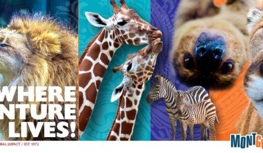 Montgomery Zoo’s Thrifty Tuesdays Return