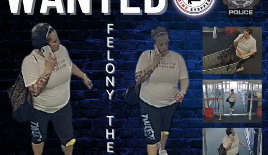 Prattville – Theft of Property 3rd Degree Investigation; Reward Offered