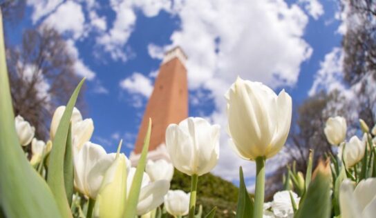 Dean’s, President’s Lists Students from our Area Named for UA Spring 2023 Term