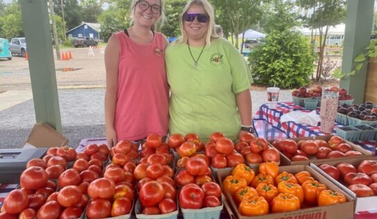 Wetumpka’s Farmers Market had Amazing crowd for inaugural Tomato Sandwich day