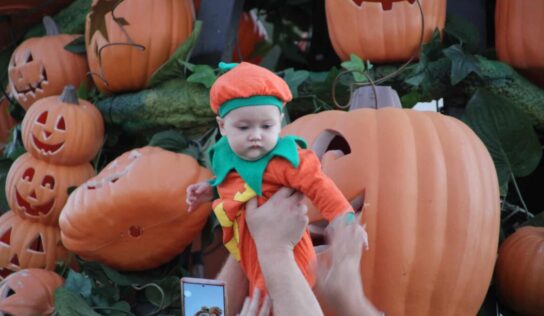 5th annual Parade of Pumpkins Continues to Draw Crowd; Continues through Halloween