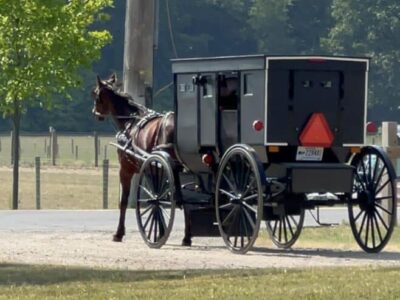 Amish craftsmen showcase unique skills this weekend in Millbrook 