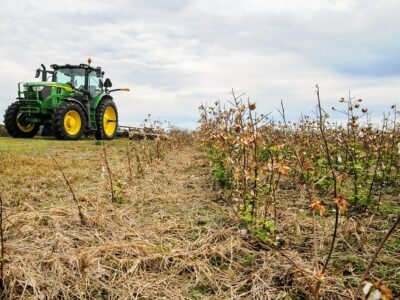 Autauga County Extension offers more than just your typical gardening