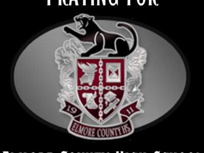 Eclectic Juvenile perishes in single-vehicle accident