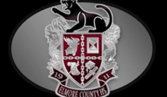 Eclectic Juvenile perishes in single-vehicle accident