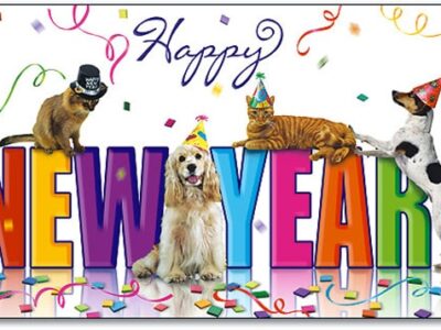 HSEC wishes everyone a Happy New Year, with some resolution suggestions for pet owners