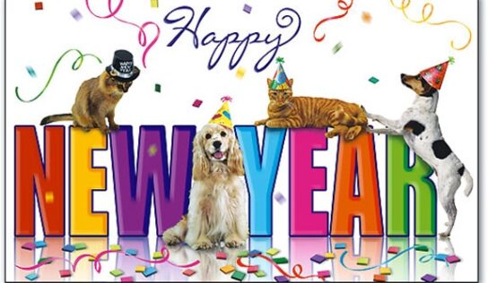 HSEC wishes everyone a Happy New Year, with some resolution suggestions for pet owners