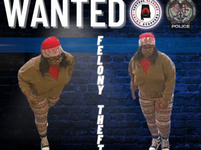 Prattville –  Felony Retail Theft Investigation – Cash Reward Offered