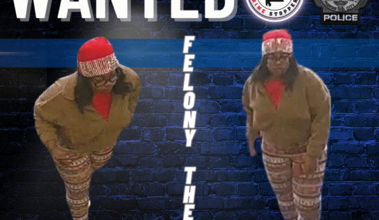 Prattville –  Felony Retail Theft Investigation – Cash Reward Offered