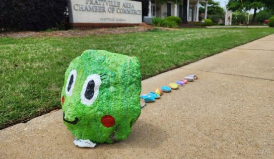 The Prattville Rockapillar, a community art project   