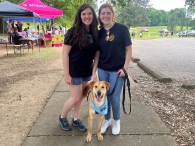 A Paws-itively perfect Bark in the Park hosted by PAHS