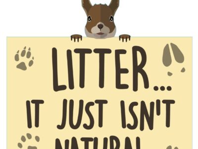Stop the madness – don’t be a litter bug