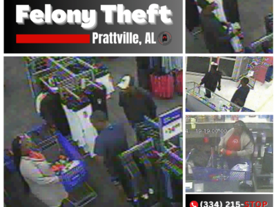 Prattville – Theft of Property 3rd Degree Investigation – Cash Reward Offered