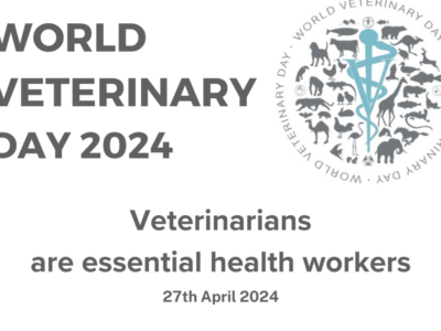 World Veterinary Day: Thankful for services they provide