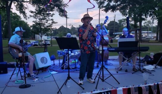 PHOTOS: LO-FI Loungers open up Tunes on the Green series in Millbrook
