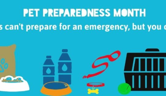 June is National Pet Preparedness Month; Now is the time to make a plan