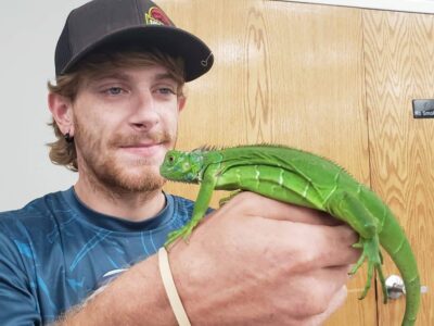 Show Me Reptile comes to Millbrook with thrills and chills