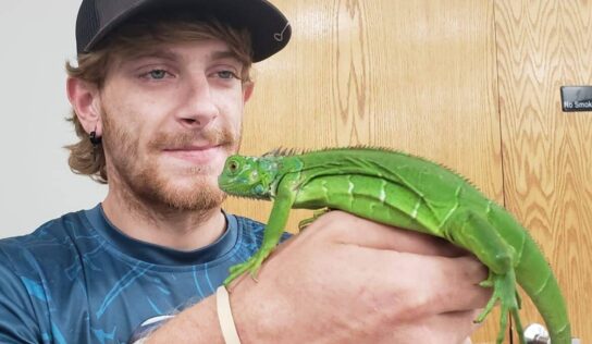 Show Me Reptile comes to Millbrook with thrills and chills