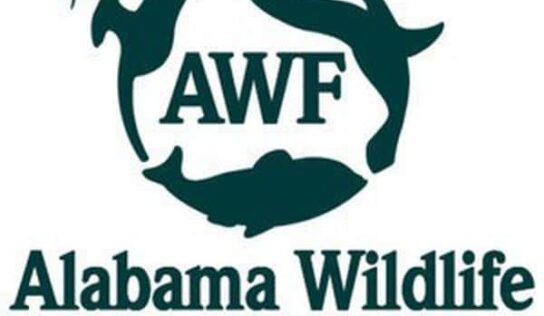 Online Auction for AWF now live! Wild Game Cook Off is tonight in Millbrook