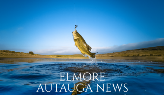 Renew your fishing license by August 31st