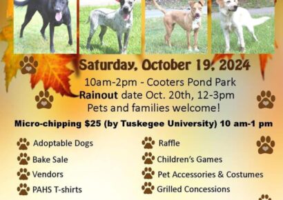 Vendors needed for the PAHS Pet Palooza Oct. 19 in Prattville