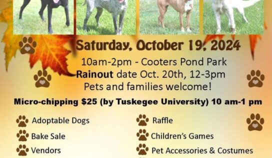 Vendors needed for the PAHS Pet Palooza Oct. 19 in Prattville