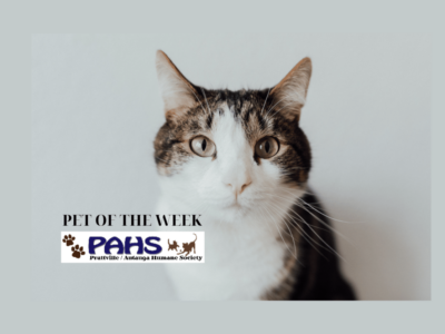PAHS Pet of the Week