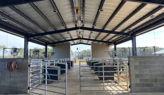 PHS, ACTC annexed into Prattville; Billingsley Teaching Lab approved, among other projects