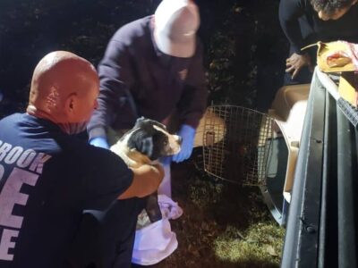 Vehicle crashes into deep ravine in Millbrook Friday night resulting in fatality