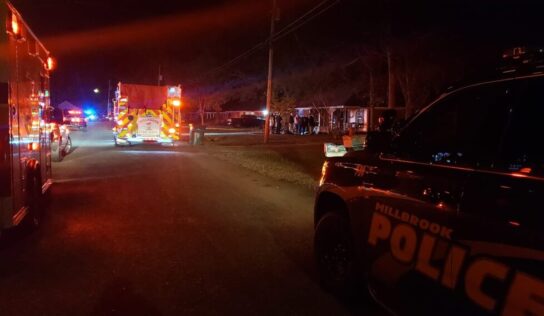 Millbrook – Suspected Arson leads to death of dogs, damage and an arrest