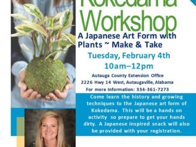 Kokedama history, techniques experience coming to Autauga County Extension Office Feb. 4; Register now
