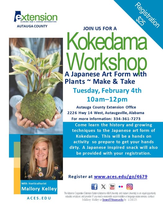 Kokedama history, techniques experience coming to Autauga County Extension Office Feb. 4; Register now