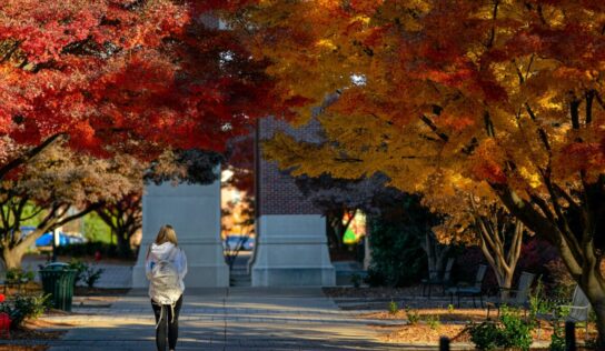 Area students named to University of Mississippi Chancellor’s, Dean’s Honor Rolls