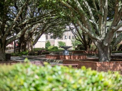 Caleb Maxwell, of Eclectic, named to Dean’s List at Wallace College