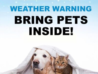 Bring Pets Inside! Winter Weather Warning are for pets, too