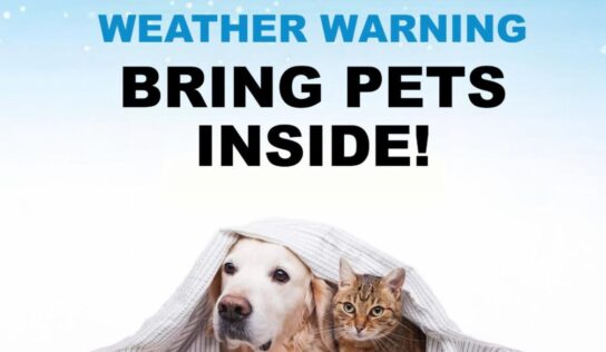 Bring Pets Inside! Winter Weather Warning are for pets, too